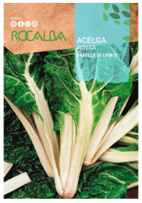 Acelga Amarilla de Lyon 2: variedad de penca ancha y blanca, hojas grandes verde-amarillas, muy resistente a la subida y cultivo anual.