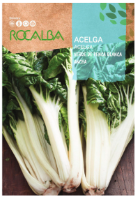 Acelga de penca blanca y ancha: variedad rústica, resistente al frío y carnosa. Ideal para suelos fértiles con siembra a golpes.