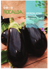 BERENJENA BLACK BEAUTY