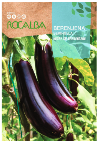 Berenjena de Barbentane: variedad precoz y productiva de frutos negros alargados. Exige mucho sol, calor y remojo previo de semillas.