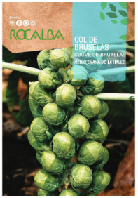COL DE BRUSELAS MEDIO ENANA DE LA HALLE