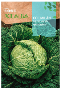 COL MILAN AUBERVILLIERS