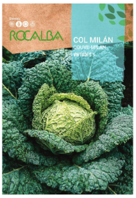 COL MILAN VIRTUDES 3