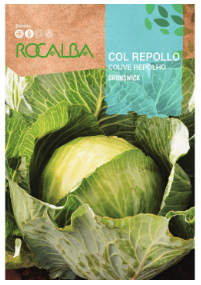 COL REPOLLO BRUNSWICK