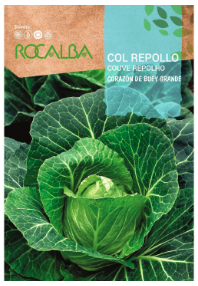 COL REPOLLO CORAZON DE BUEY GRANDE