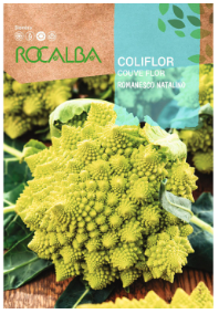 COLIFLOR ROMANESCO